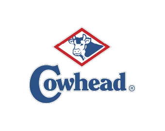 logo brand 19